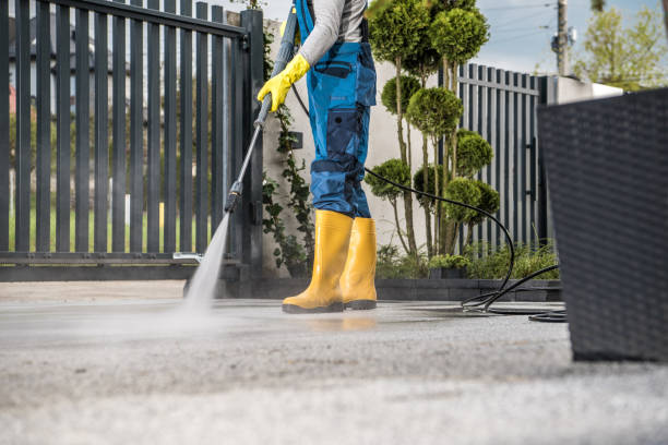 Best Deck Cleaning Services  in Galls, IN